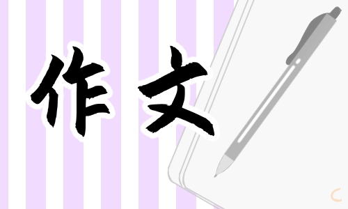 开学感想作文800字